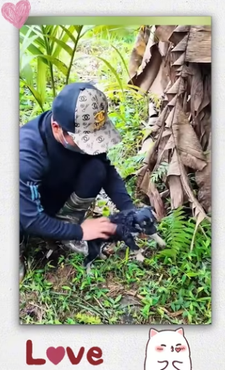 Poor puppy was trapped in sewer man saw it recuse _part2