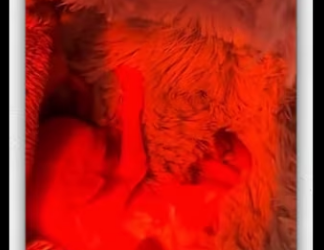 Surprise mother later. _part2