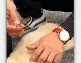 Man rescue dog on highway_part2