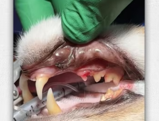 Took him to hopital then_part2