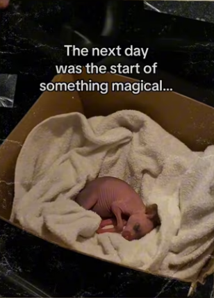 He brought birthday gift #animals #wholesome_part2