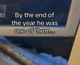 He saved baby!! #wholesome #animals_part2