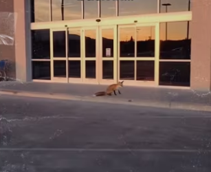 My morning shifts are now my favorite #wholesome_part2