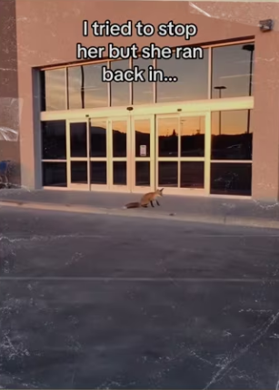 My morning shifts are now my favorite #wholesome_part2