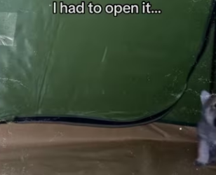 They repaid me in trout #wholesome #wolf #animals_part2