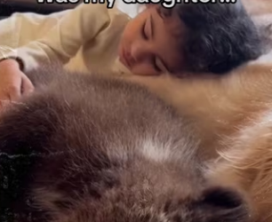 To save bear! #wholesome #animals_part2