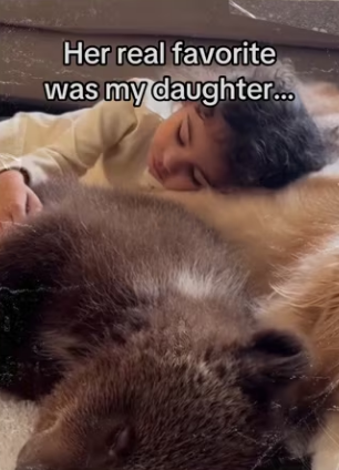 To save bear! #wholesome #animals_part2