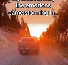 He my shadow now #wholesome #animals #bear_part2