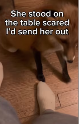 Is so good! #wholesome #animals_part2