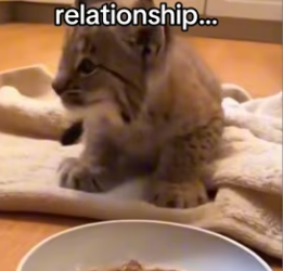 long form is on Yt not link below #wholesome_part2