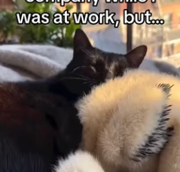 Playing Shadows by Projecting Light Gerardo Medina_part2