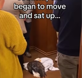 Power of prayer #wholesome #animals_part2