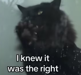 They healed my cats heart! #wholesome #animals_part2