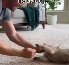 Wolf grows up to my life…_part2