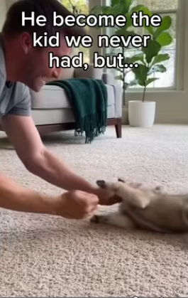 Wolf grows up to my life…_part2