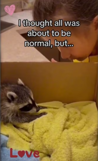 Does mean we have to keep her #animals #wholesome_part2