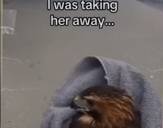 Her mate stayed by her side through it all #wholes_part2