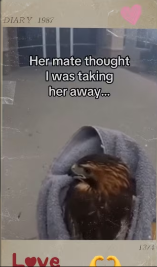 Her mate stayed by her side through it all #wholes_part2