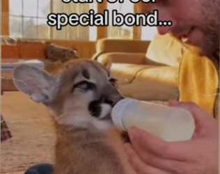 Honestly, he deserves his own couch #wholesome_part2