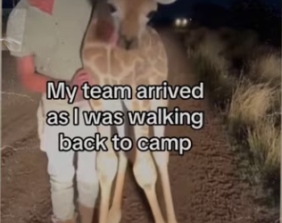 Nice #animals #wholesome_part2