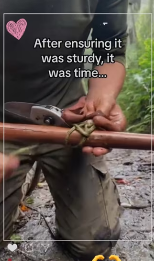 Only if he could pay windshield #wholesome #animal_part2