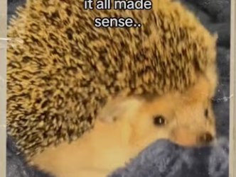 Animal rescue #animals #wholesome #rescue_part2