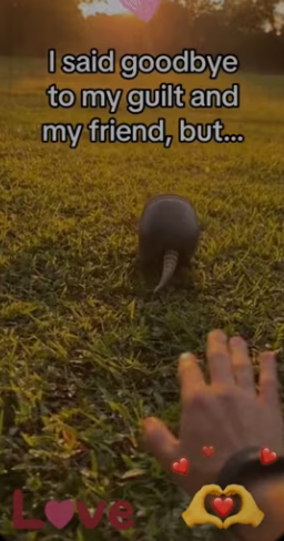 Who saved who #wholesome #animals_part2