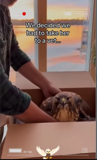 Does make me babies god parents #wholesome #hawk_part2