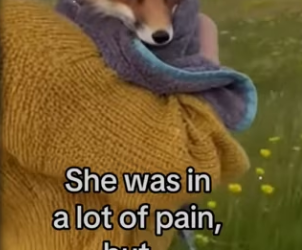 She brought flowers #wholesome #animals_part2