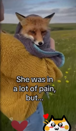 She brought flowers #wholesome #animals_part2