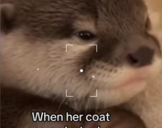 She was separated her mom by tide #wholesome_part2