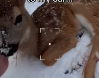 They never stopped waiting her to heal! #wholesome_part2