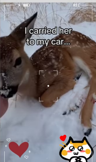 They never stopped waiting her to heal! #wholesome_part2