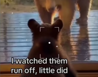 think ll need bugger bathroom! #animals #wholesome_part2