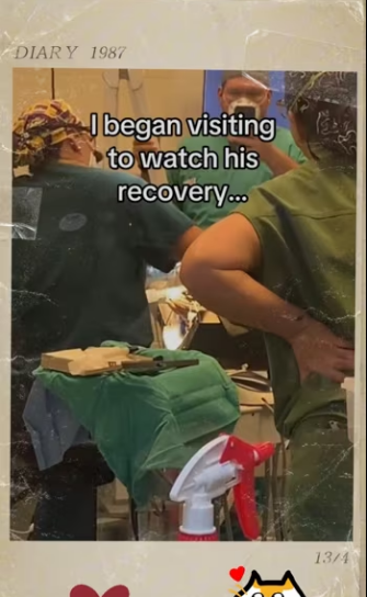 True love saved him #wholesome #animals_part2