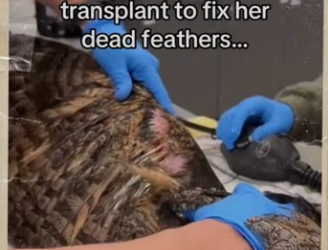 Well was plot twist to my day #animals #wholesome_part2