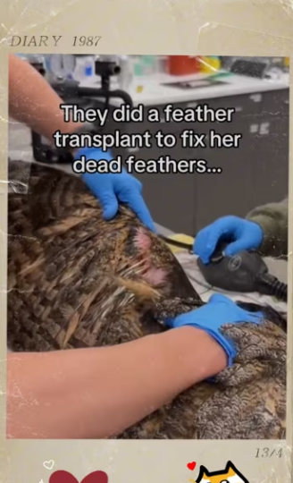 Well was plot twist to my day #animals #wholesome_part2