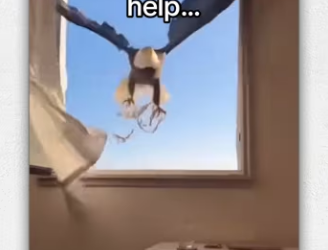 saved an eagles life #wholesome #animals_part1