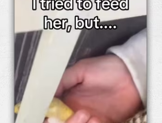 Does make me grandma #wholesome #animals_part2