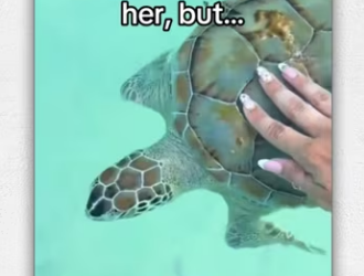 God put me in right place #wholesome #animals_part2