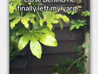 He slept to stay close to her stuck in pool_part2