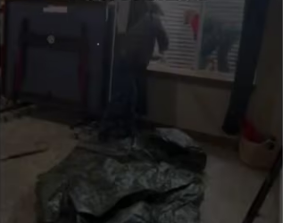 She brought her entire family winter #animals_part2