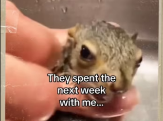 How did bay know #animals #wholesome_part2