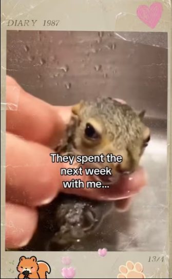 How did bay know #animals #wholesome_part2