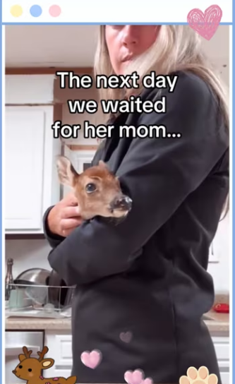 My cat did right thing #animals #wholesome_part2