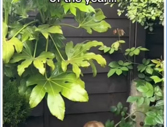 My house became her sanctuary #wholesome #animals_part2