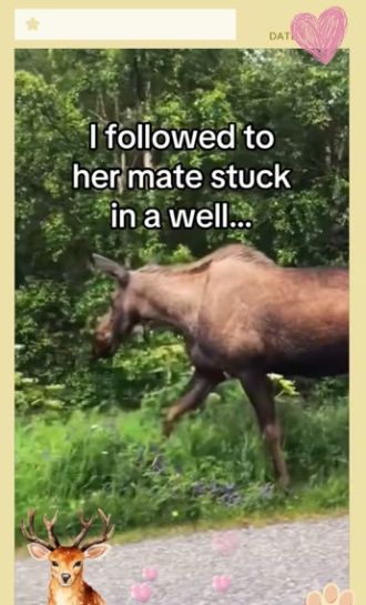 Now have little babies in my yard #wholesome_part2