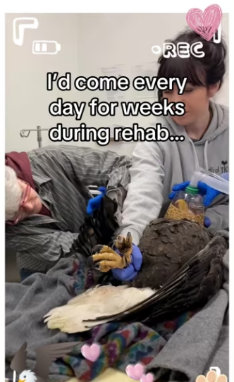 Saved an eagle #wholesome #animals_part2
