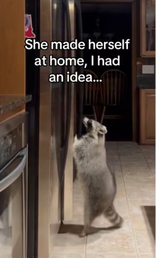 Gentle parenting but cotton candy! #animals #wholesome_part2