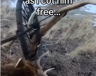 guess we are even #wholesome #animals_part2